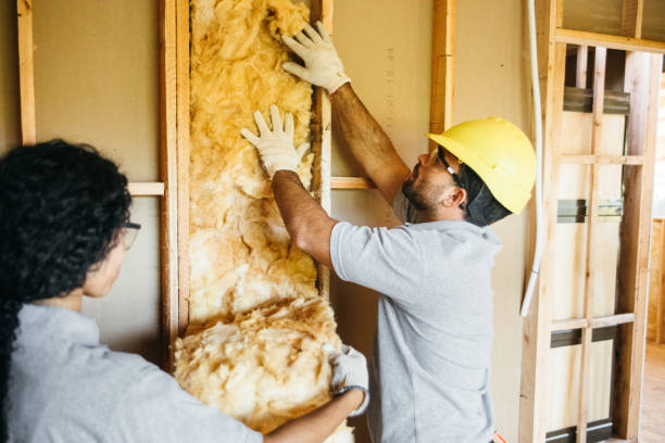 Insulation Replacement Services in Buxton, NC