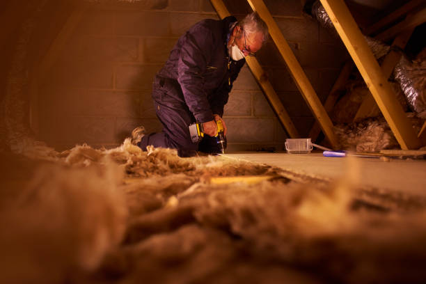 Best Insulation Repair Services  in Buxton, NC